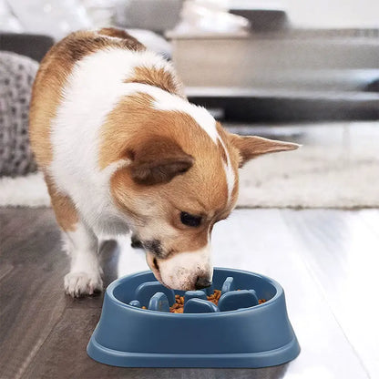 Gamelle anti-glouton