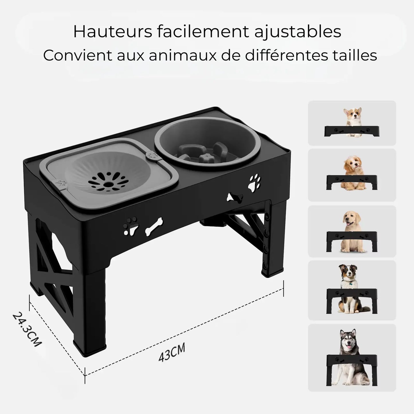 Mangeoire 3-en-1 Ajustable