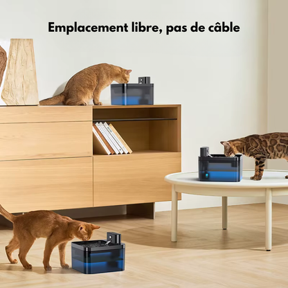 Fontaine à eau capteur infrarouge