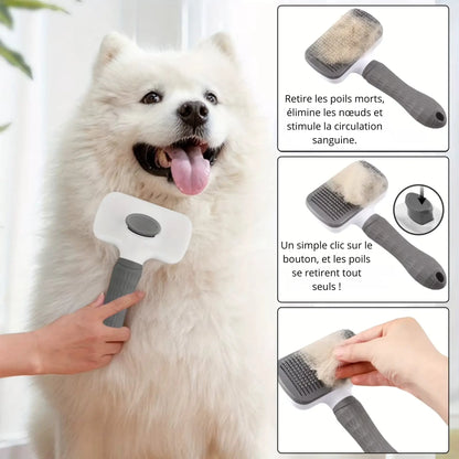 Brosse à éjection rapide