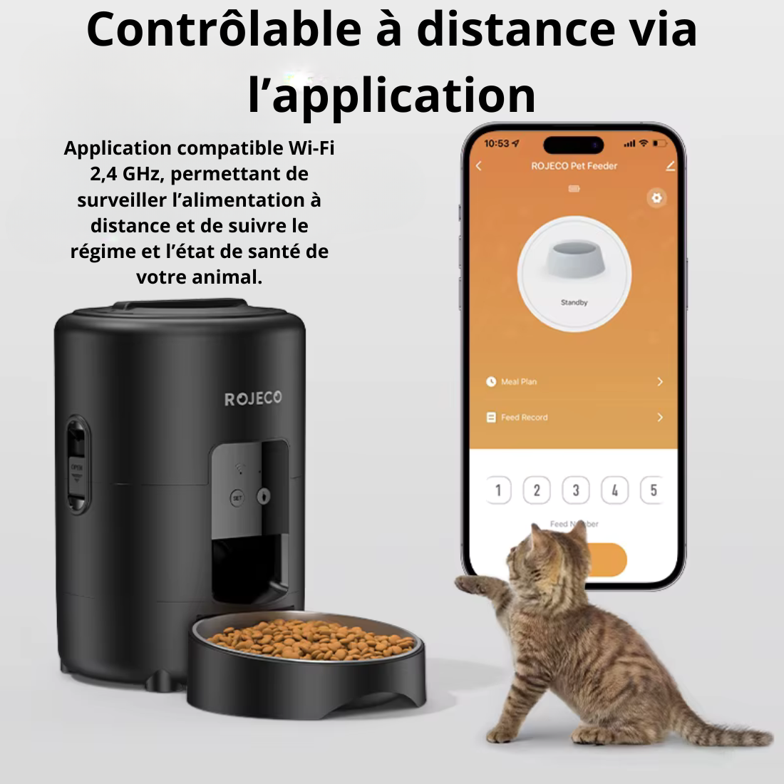Distributeur automatique programmable de croquettes