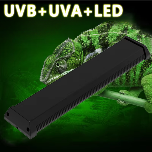 Lampe LED UVA/UVB