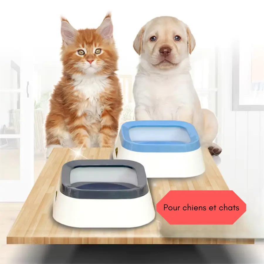 Gamelle anti‑éclaboussures 1 L